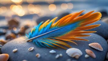 Feather Resting on Rock with Sea Shells at Sunset Beach photo