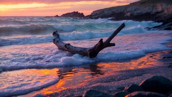 Driftwood on Sandy Beach at Sunset with Waves and Reflection photo