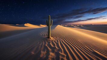 Cactus Standing Tall in Sandy Desert Landscape Under Starry Night Sky photo