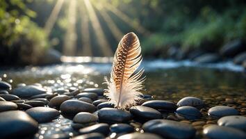 Feather Standing on River Rocks in Sunlight - Serene Nature Scene photo