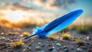 A blue feather laying on the sand at sunset photo