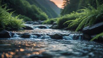 Flowing River Through Forest with Ferns at Sunset Creates Serenity photo