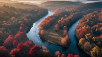 River Winding Through Autumn Forest with Colorful Fall Foliage Aerial View photo