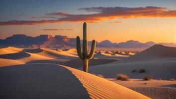 Standing Cactus in Desert Sand Dunes at Sunset with Distant Mountains photo