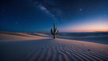 Lone Cactus Standing in Desert at Night with Milky Way Above photo