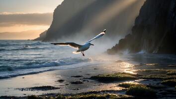 Seagull Flying Above a Misty Shoreline with Sun Rays Shining photo