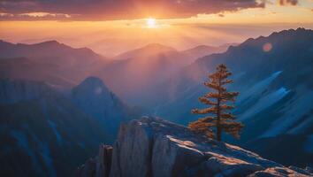 Lone Tree Stands Silhouetted at Sunset Overlooking Vast Mountain Range photo