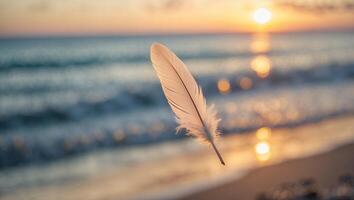 Floating Feather Over Beach at Sunset with Ocean Waves photo