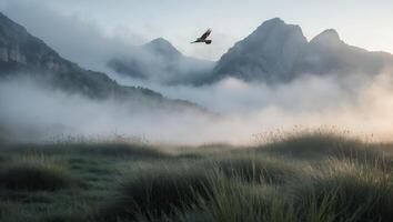 Bird Flying Over Foggy Mountain Valley with Grassy Field photo