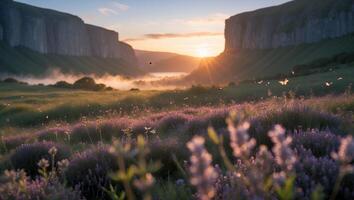Tranquil Valley Landscape at Sunrise with Lavender Field and Mist photo