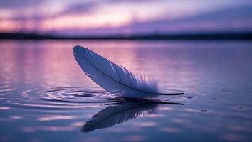 Feather Floating on Water Surface with Ripples and Sunset Sky photo