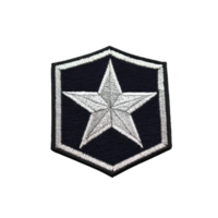 Black and white embroidered patch features prominent star design within hexagonal border, symbolizing rank or achievement. intricate stitching adds texture and detail png