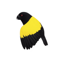 Stylized illustration of bird with striking yellow and black color scheme, featuring red eye, captures attention with its bold contrast and simplicity png