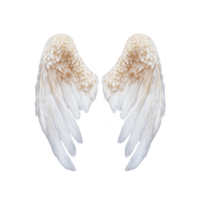 Elegant white angel wings with detailed feathers, symbolizing purity and grace, isolated on transparency background. wings are symmetrical and appear soft and ethereal png