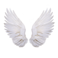 White angel wings with detailed feathers on transparent background, symbolizing purity and freedom. wings are symmetrical and appear soft and ethereal, evoking sense of peace png