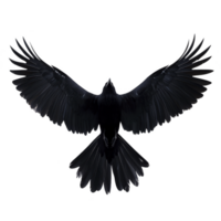 Silhouette of bird in flight with wings fully spread, showcasing its majestic form against plain background. image captures grace and power of bird mid air png
