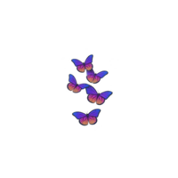 Vibrant purple and pink butterflies gracefully flutter in cluster against plain background, creating whimsical and enchanting scene png