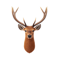 Realistic illustration of deer head with large antlers, showcasing detailed fur texture and lifelike features, isolated on transparency background png