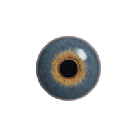 Detailed close up of blue and amber eye iris, showcasing intricate patterns and textures. vibrant colors and unique design create captivating and mesmerizing effect png