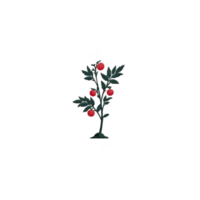 Small decorative pin features green leafy branch with red berries, resembling festive holiday design. pin is simple yet elegant, suitable for accessorizing clothing or bags png