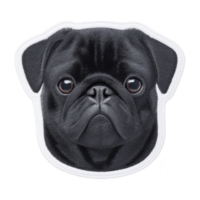 This features detailed embroidered patch of black pug face, showcasing its expressive eyes and distinctive features. patch is outlined in white, highlighting pug adorable expression png