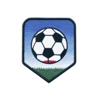 Soccer ball emblem with blue gradient background and green grass at bottom, symbolizing sport. design is simple and bold, perfect for team branding png