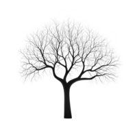 Detailed illustration of leafless tree with intricate branches, set against transparent background, showcasing symmetrical and artistic design png