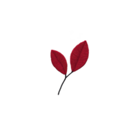 Simple illustration of two red leaves on black stem, set against transparent background, creating minimalist and elegant design png