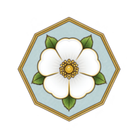 White rose with green leaves is centered in hexagonal frame with gold border, set against light blue background. design is elegant and symmetrical png