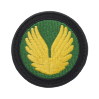 This shows circular embroidered patch featuring yellow wings on green background, bordered by black edge. design is simple and symmetrical, conveying sense of freedom and flight png