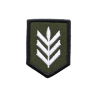 Military style embroidered patch features white chevron design on green background, symbolizing rank or achievement. patch has black border, adding contrast and definition png