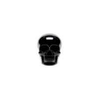 Shiny black glass skull with reflective surface is centered against plain background, creating mysterious and modern aesthetic png