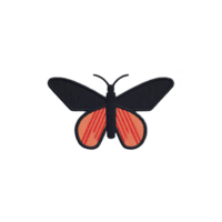 Black and red butterfly with detailed wings is depicted on plain background, showcasing its vibrant colors and intricate patterns. design is simple yet striking, capturing essence of nature beauty png