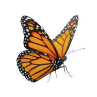 Vibrant monarch butterfly with striking orange and black wings, detailed with white spots, is depicted in side view. butterfly delicate wings are open, showcasing its intricate patterns png