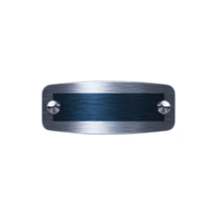 Metallic nameplate with brushed texture and two screws on each side, set against transparent background, conveys sleek and industrial design png