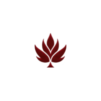 Red maple leaf with textured design is centered on transparency background, symbolizing nature and simplicity. leaf intricate details create striking contrast against dark backdrop png