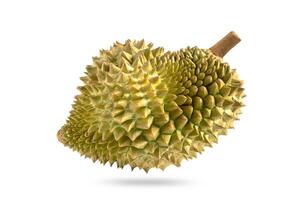 Durian on a white background. Durian fruit isolated on white with clipping path. photo
