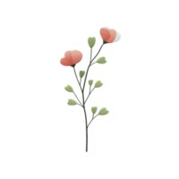 Delicate illustration of flower with heart shaped petals and leaves, featuring simple and elegant design. petals are soft pink, while leaves are gentle green, creating harmonious and charming png