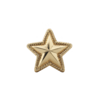 Shiny gold star with textured border, symbolizing achievement and excellence, is displayed against plain background. star metallic finish adds touch of elegance and prestige png