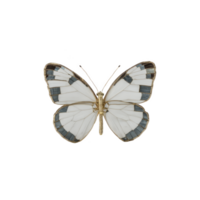Delicate butterfly with white and black patterned wings is displayed against plain background, showcasing its intricate design and natural beauty png