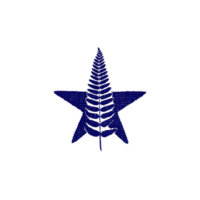 Blue star with fern leaf overlay creates unique and artistic design, blending natural and geometric elements. contrast between star and fern adds visual interest png