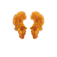 Two fiery profiles face each other, formed by vibrant orange flames against transparency background, creating dramatic and intense visual effect png