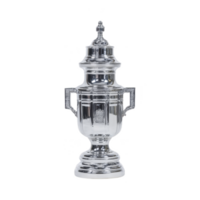 Shiny silver trophy with intricate details and two handles, symbolizing achievement and excellence. trophy has classic design with lid and sturdy base png