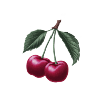 Two vibrant red cherries with green leaves are depicted in embroidered style, showcasing intricate stitching and texture against plain background. design is detailed and colorful png