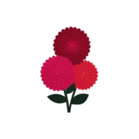 Three vibrant dahlias in shades of red and pink are arranged with green leaves, creating striking floral display. intricate petal patterns add touch of elegance to composition png