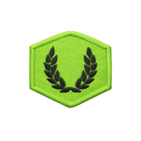 Green embroidered patch with black laurel wreath design, symbolizing achievement or honor, on hexagonal shape. patch is isolated on transparency background png