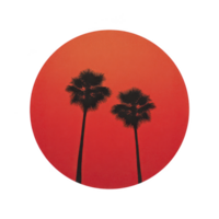 Two silhouetted palm trees stand against vibrant red sunset, creating serene and tropical atmosphere. circular composition enhances artistic and minimalist style png