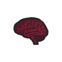 Detailed illustration of human brain in red, showcasing intricate patterns and textures, set against plain background. design emphasizes complexity and beauty of brain structure png