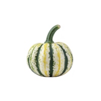 Small, round pumpkin with green and yellow stripes on transparency background, isolated on white surface. pumpkin stem is curved and green, adding natural touch png