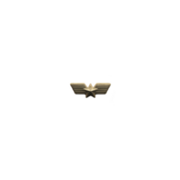 Gold star with wings design is centered on transparency background, symbolizing achievement and excellence. reflective surface adds touch of elegance and sophistication png
